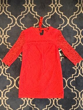 NWT Cynthia Steffe Lace Dress